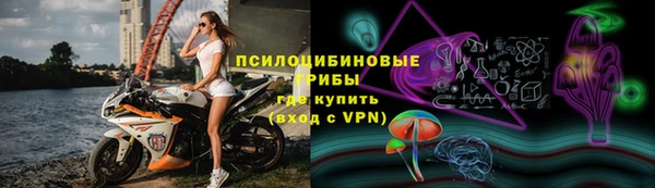 бошки Абинск