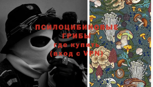 бошки Абинск