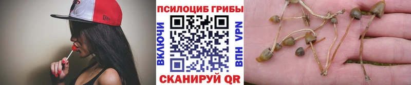 купить  сайты  shop Telegram  Псилоцибиновые грибы прущие грибы  Цоци-Юрт 