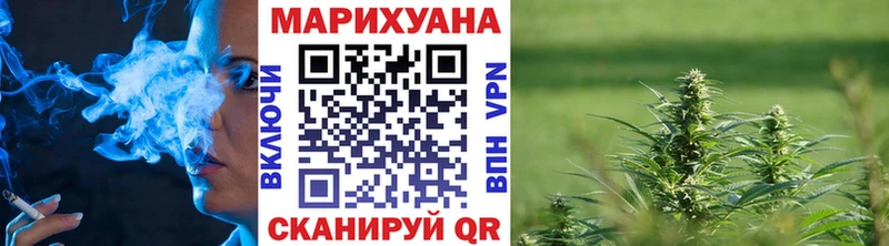 Канабис индика  Цоци-Юрт 
